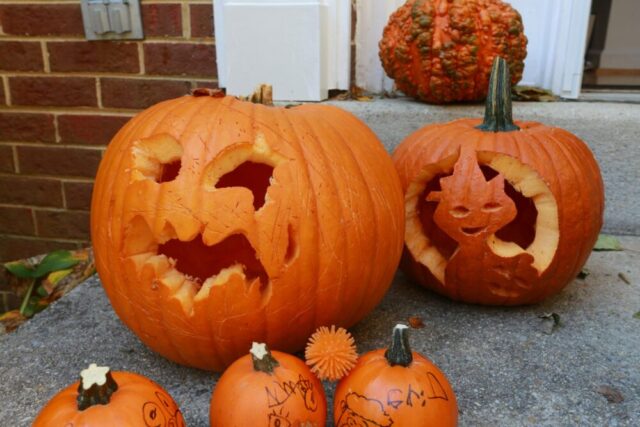 halloween pumpkin steps