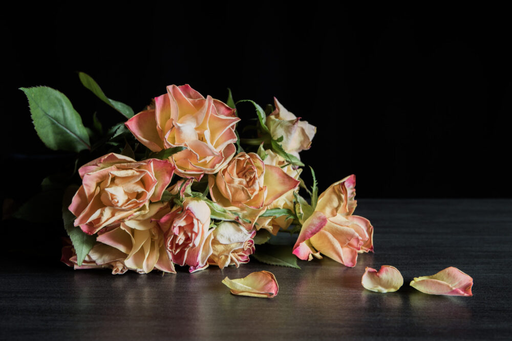 bouquet of flowers